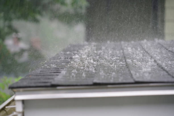 Best Asphalt Shingle Roofing  in Westport, WA