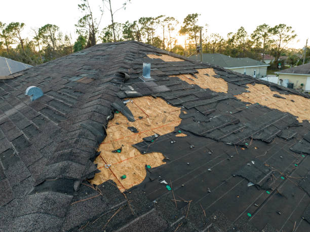 Best Roof Moss and Algae Removal  in Westport, WA